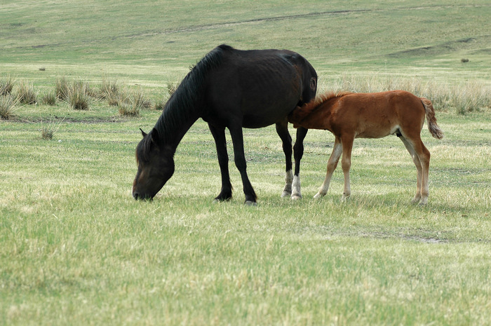 DSC_7450.JPG
