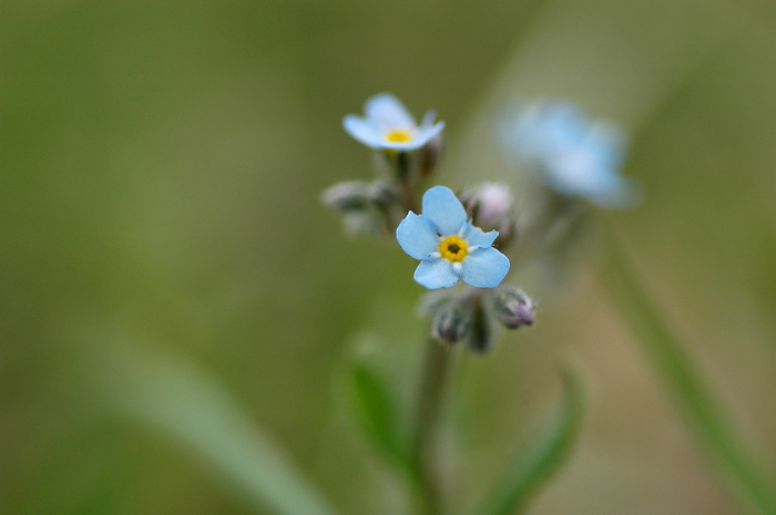 DSC_7498.JPG