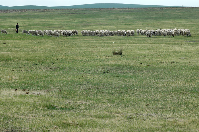 DSC_7469.JPG