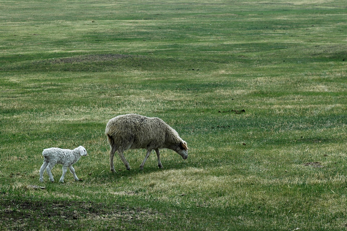 DSC_7486.JPG