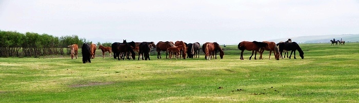 ����֮��֮�� 675.jpg