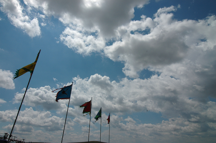 DSC_7556.JPG