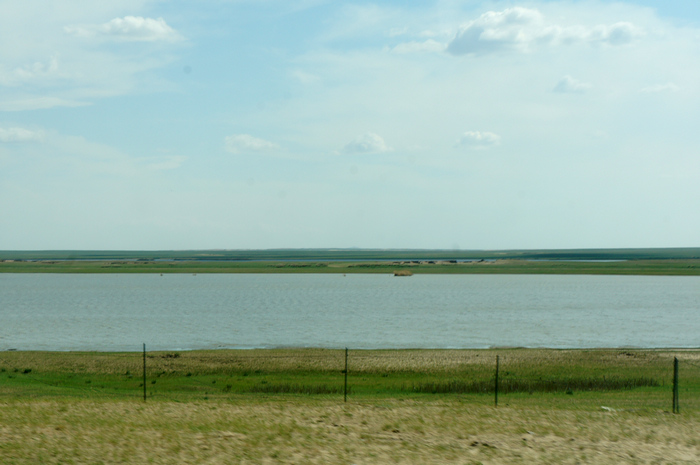 DSC07535.JPG
