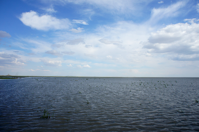 DSC07544.JPG