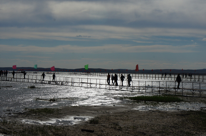 DSC07546.JPG
