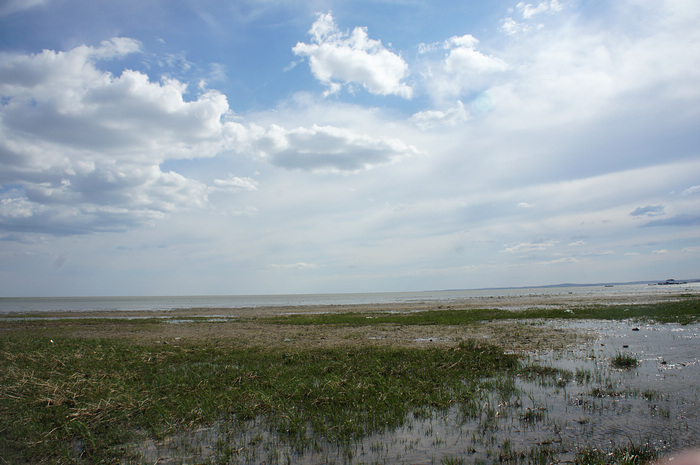DSC07541.JPG