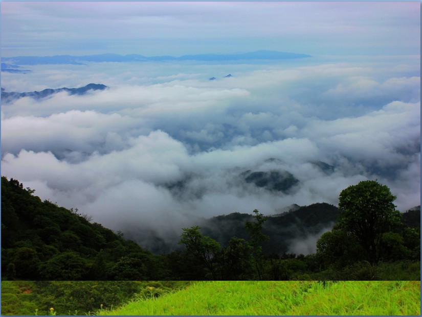 56.jpg