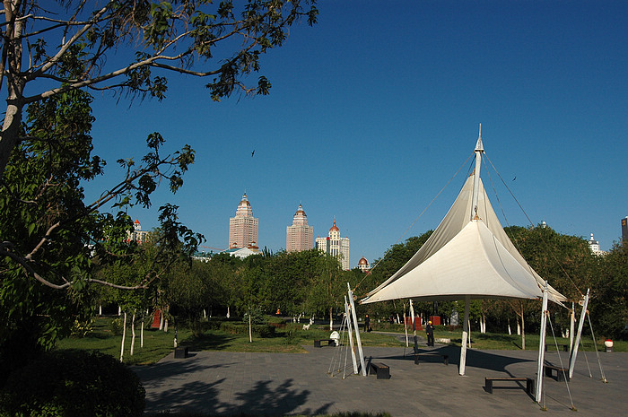 DSC_7653.JPG