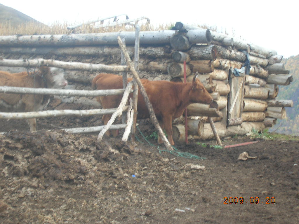 DSCN2750.JPG