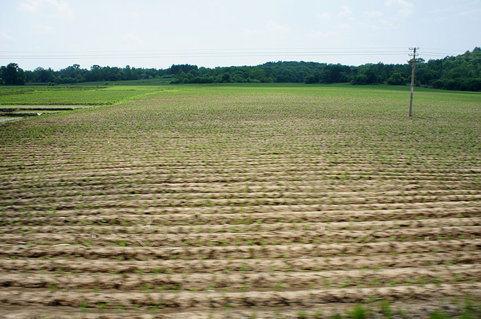 DSC07812.JPG