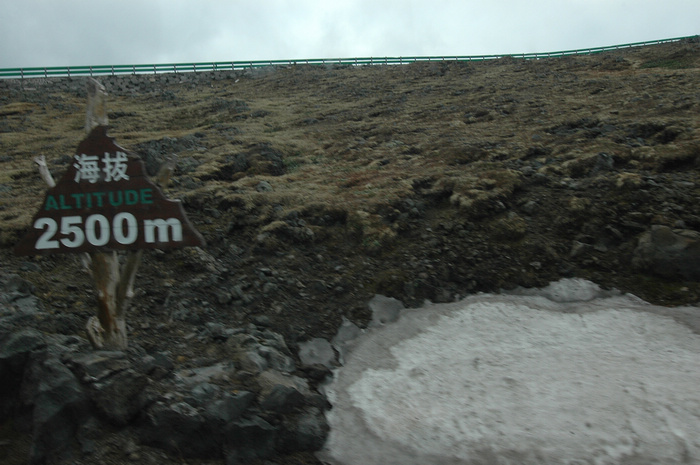 DSC_7815.JPG