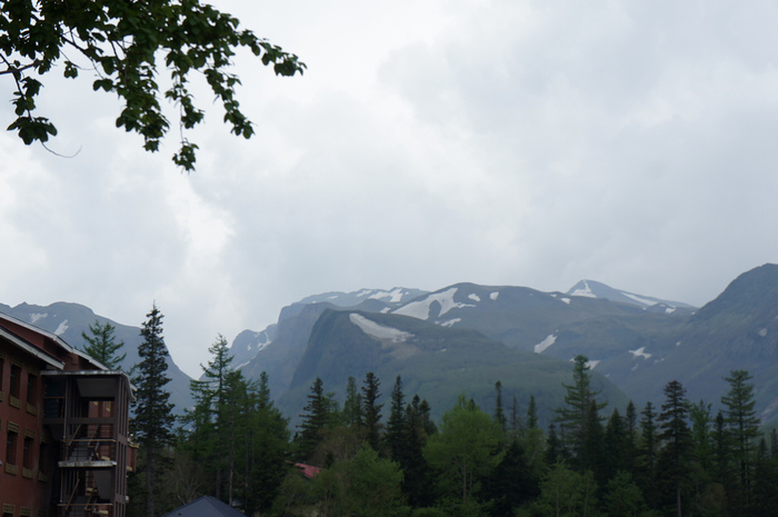 DSC07925.JPG