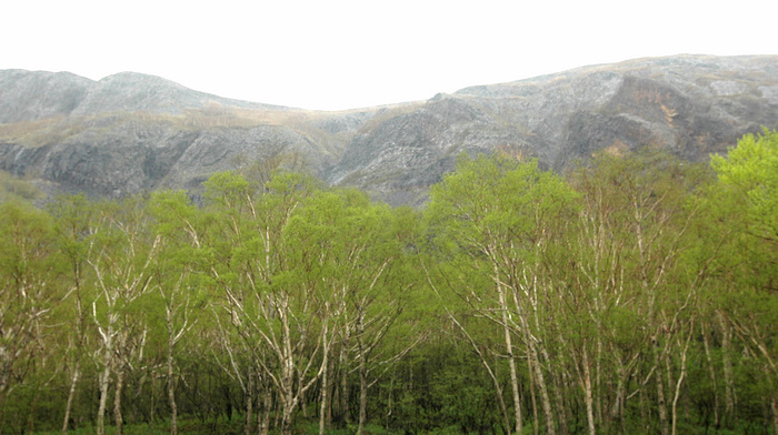 DSC_7885.JPG