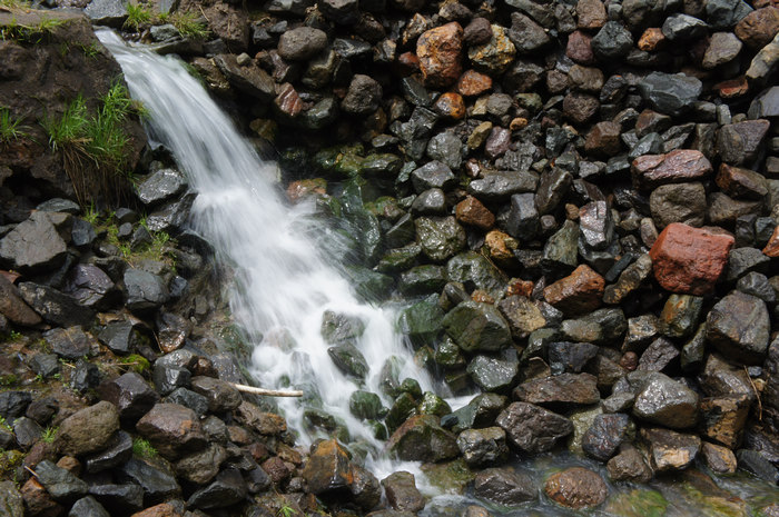 DSC07980.JPG