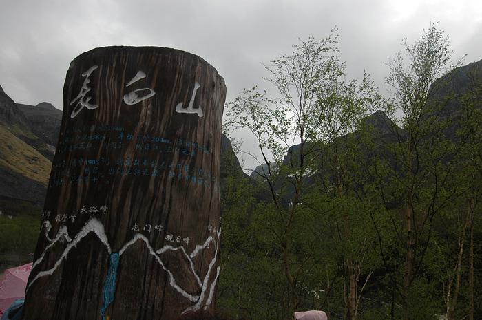 DSC_7890.JPG