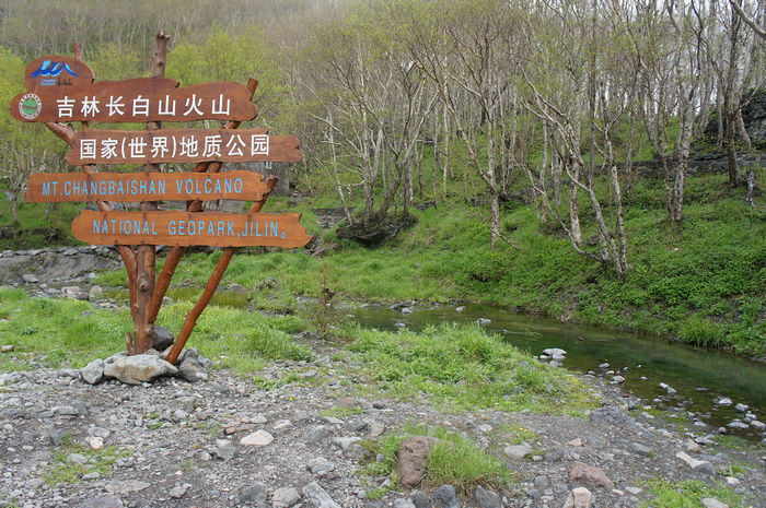 DSC08021.JPG