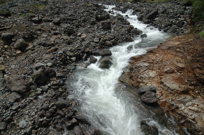 DSC_7926.JPG