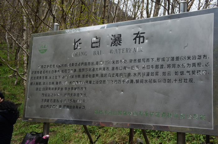 DSC08001.JPG