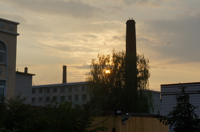 DSC08049.JPG