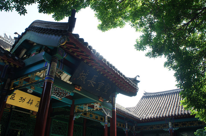 DSC08212.JPG