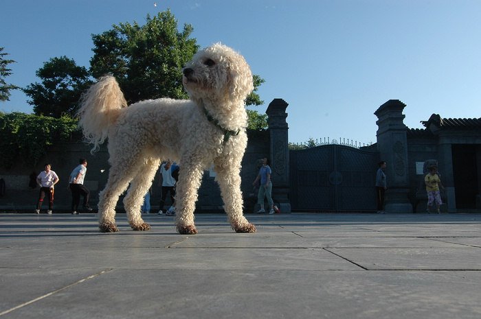 DSC_7959.JPG