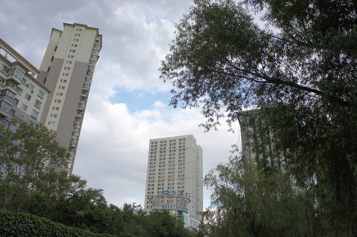 DSC08363.JPG