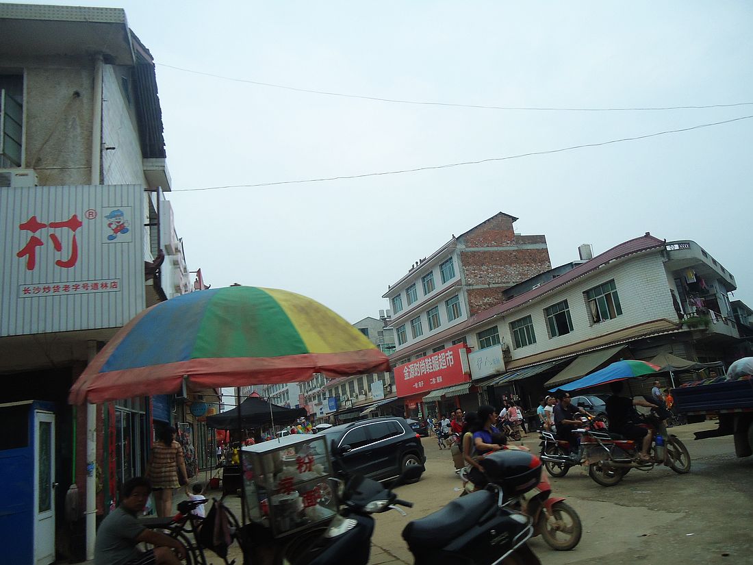 DSC09408.jpg
