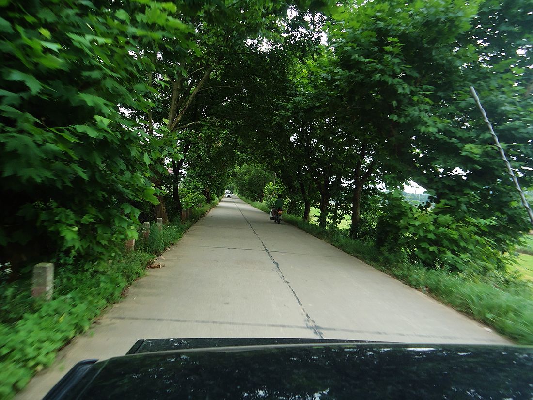 DSC09541.jpg