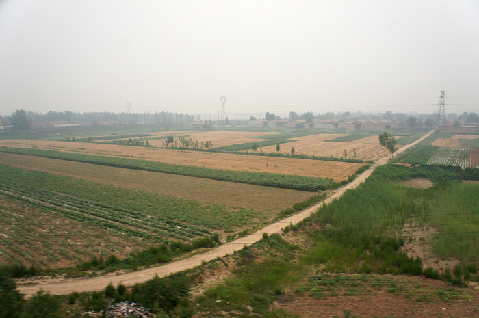 DSC08614.JPG
