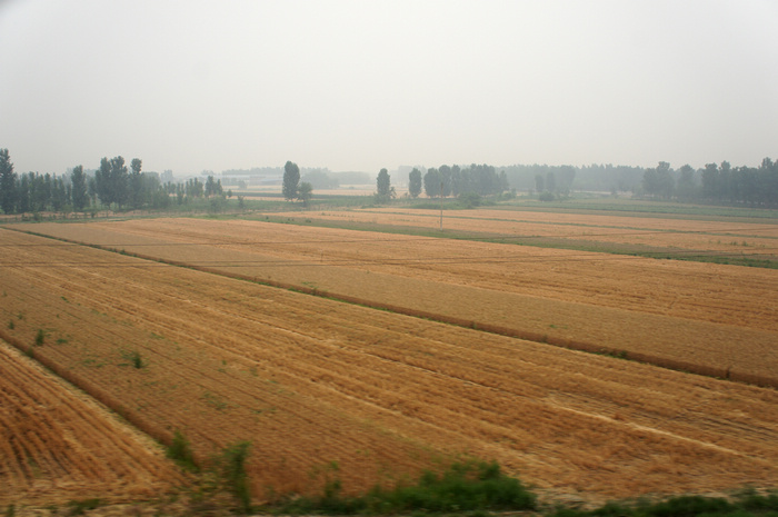 DSC08620.JPG