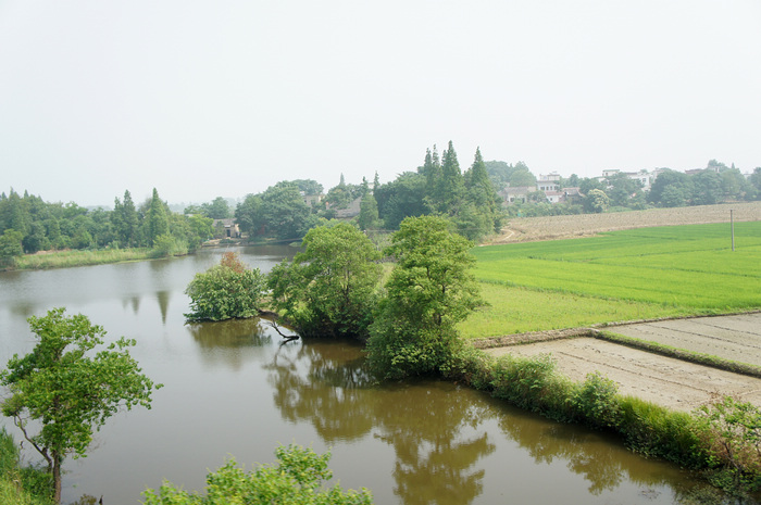 DSC08740.JPG