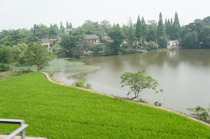DSC08744.JPG