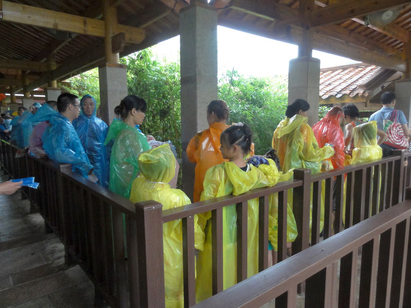 DSC02370.jpg