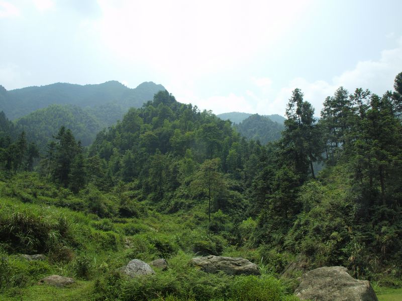 P1010016.jpg