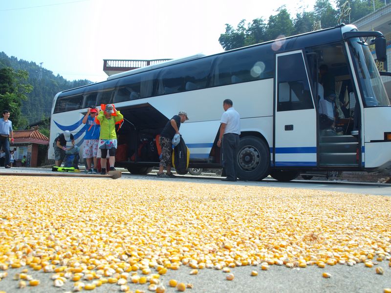 P1010004.jpg