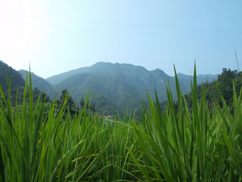 P1010003.jpg
