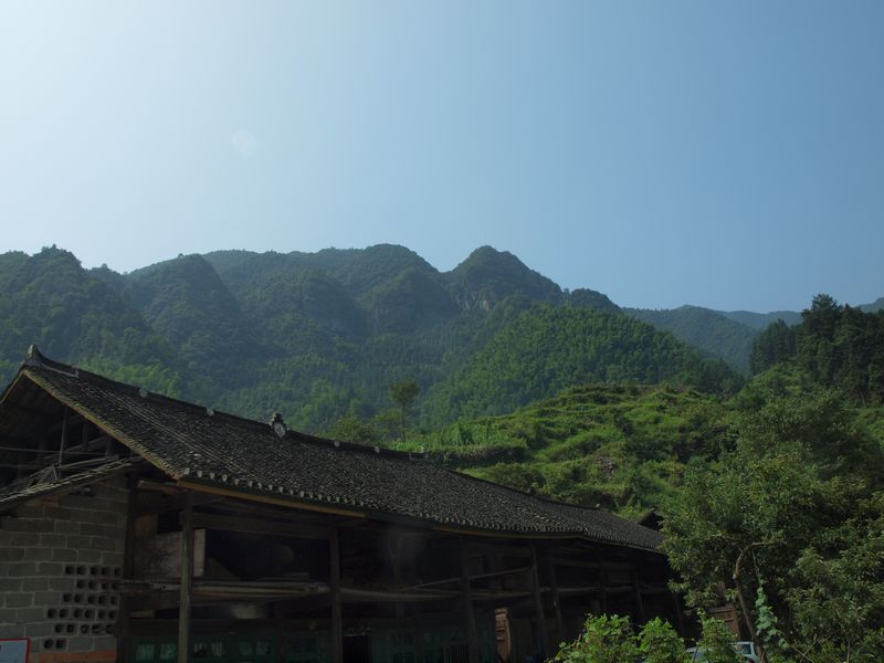 P1010011.jpg
