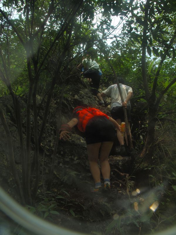 P1010042.jpg