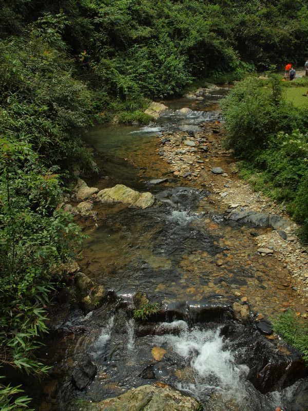 P1010026.jpg
