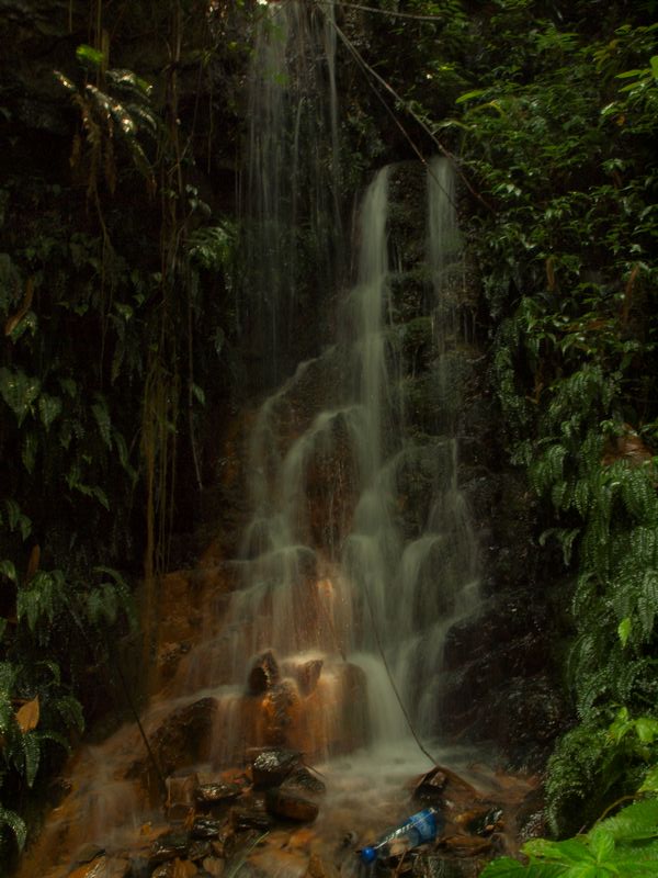 P1010070.jpg