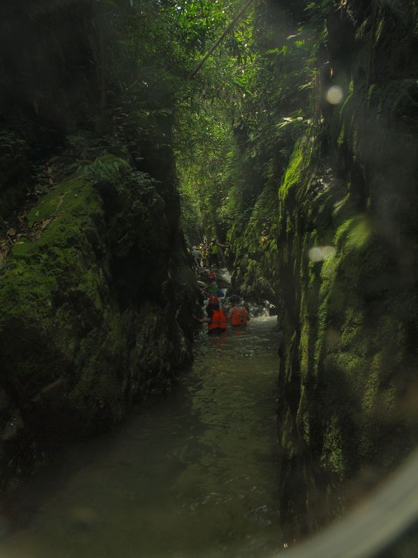P1010056.jpg
