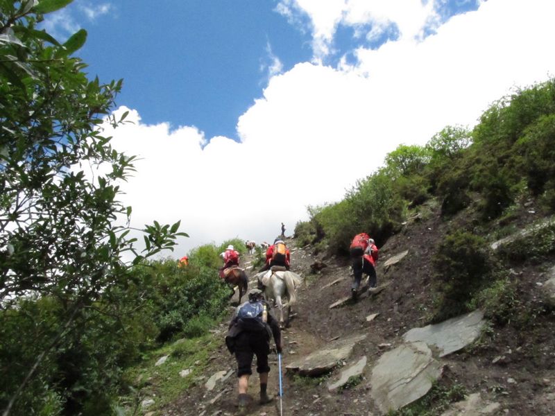 nEO_IMG_�Ĺ��� 326.jpg