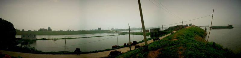 nEO_IMG_100_0962.jpg