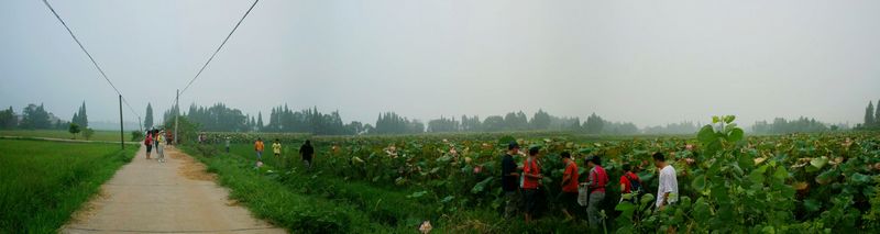 nEO_IMG_100_0984.jpg