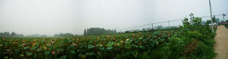 nEO_IMG_100_0985.jpg