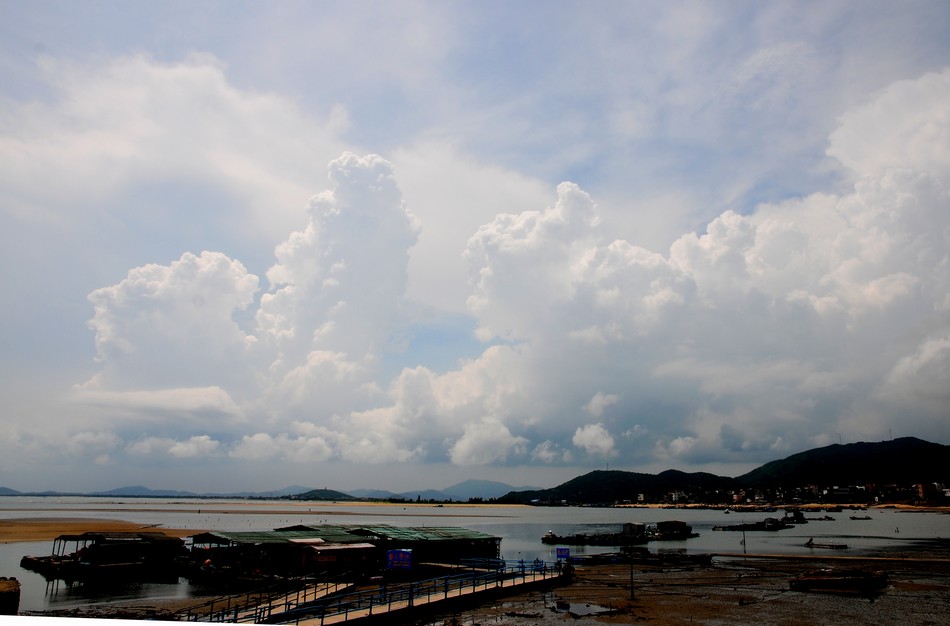 DSC_5115.jpg