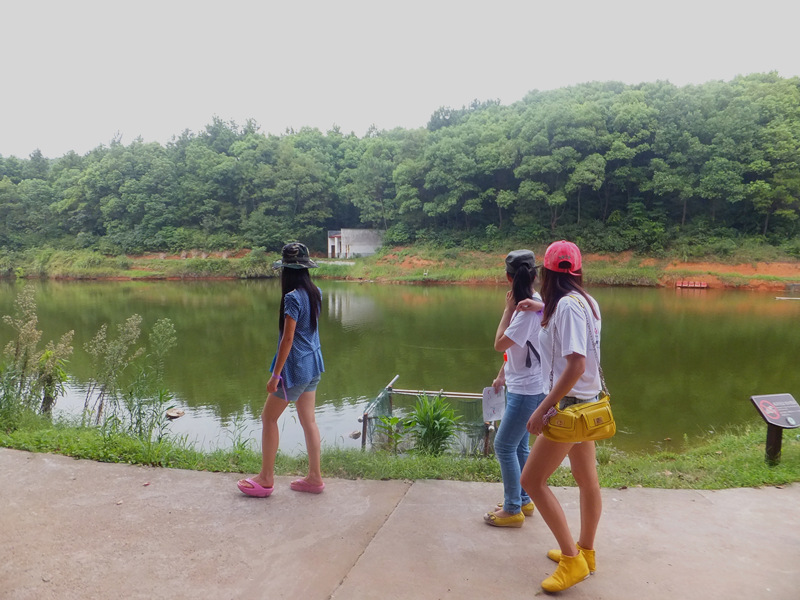 DSCF4049_����.jpg