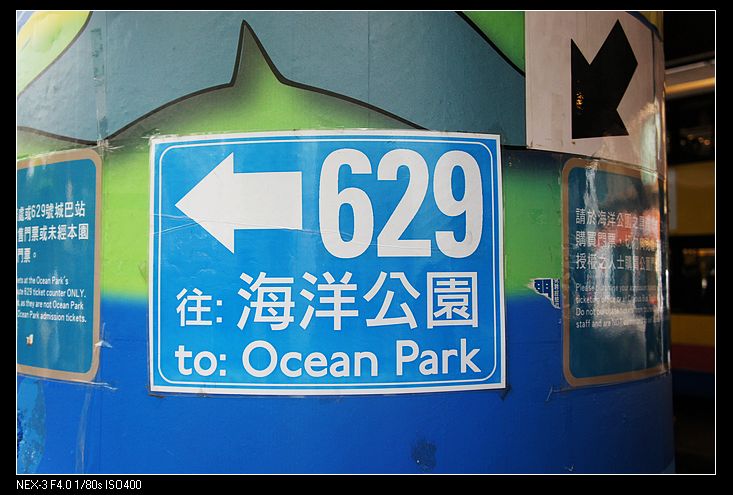 nEO_IMG_DSC03441.jpg