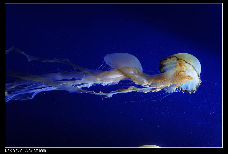 nEO_IMG_DSC03540.jpg