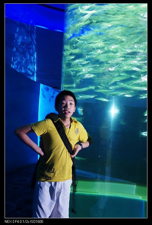 nEO_IMG_DSC03745.jpg
